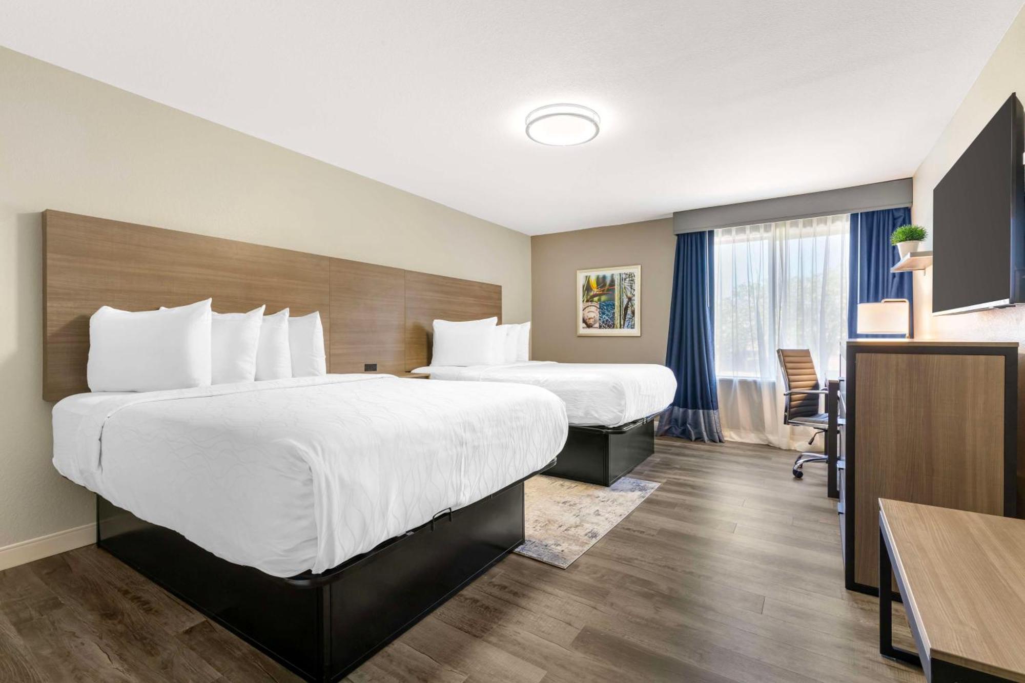 Best Western Plus Lewisville Flower Mound Экстерьер фото