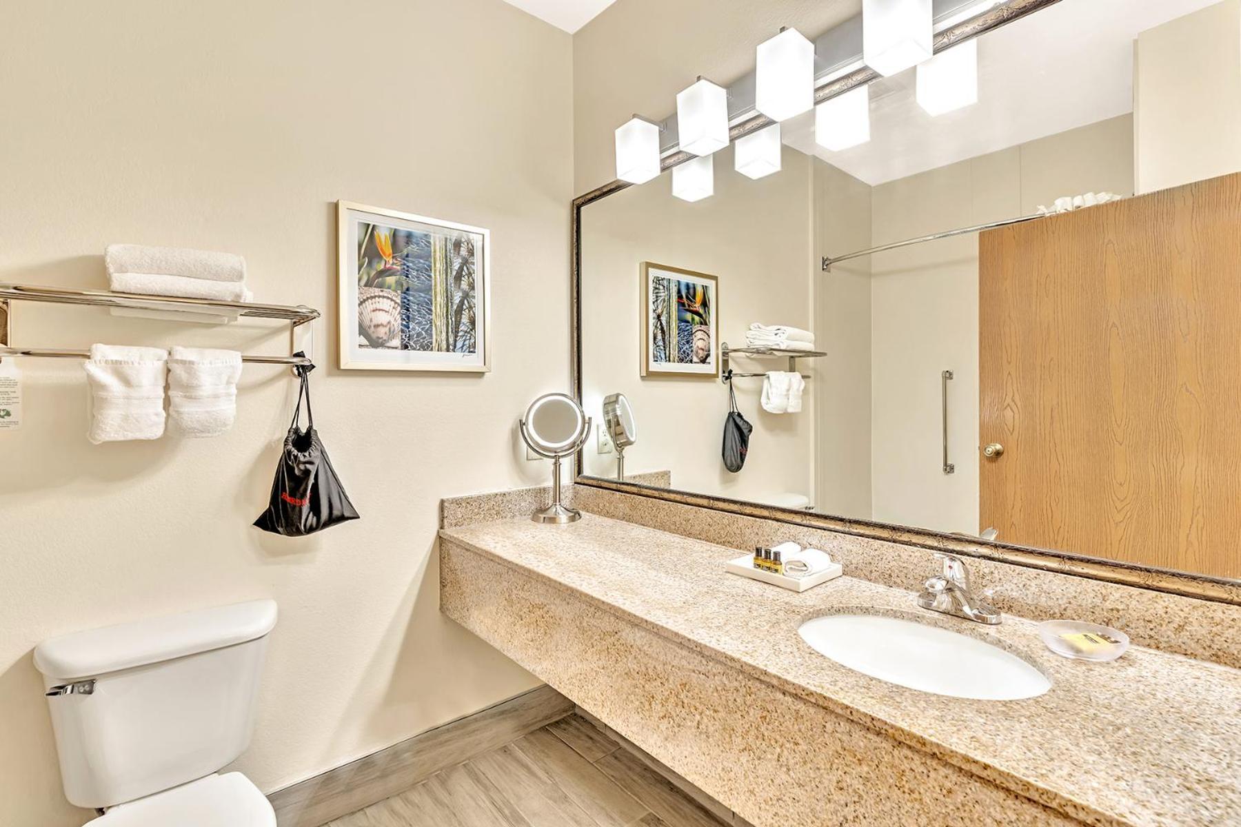 Best Western Plus Lewisville Flower Mound Номер фото